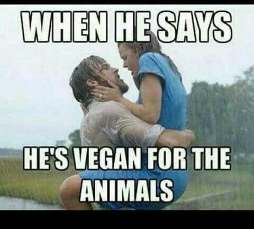 Romantic scene meme with caption about someone being vegan for the animals