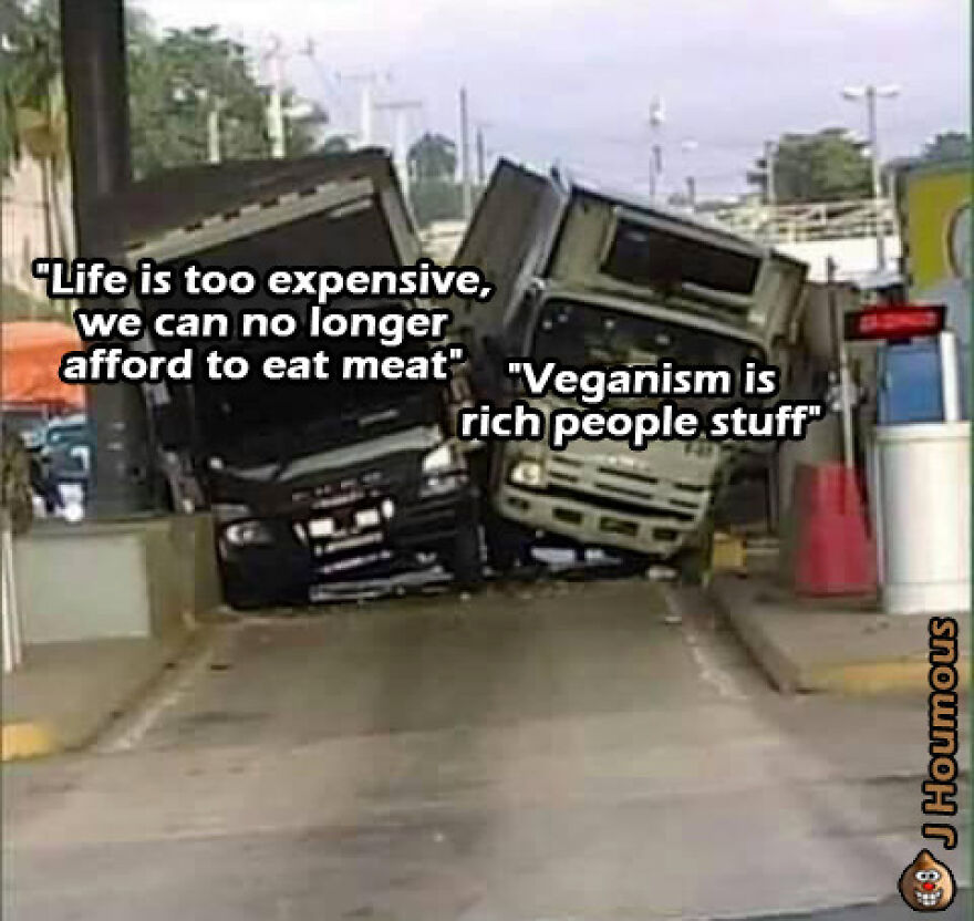 Two trucks collided with captions about veganism affordability meme