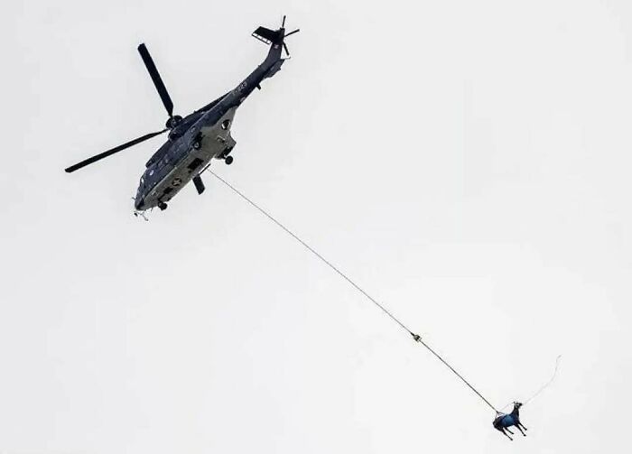 Helicopter lifting unusual object resembling a blue animal in cursed images