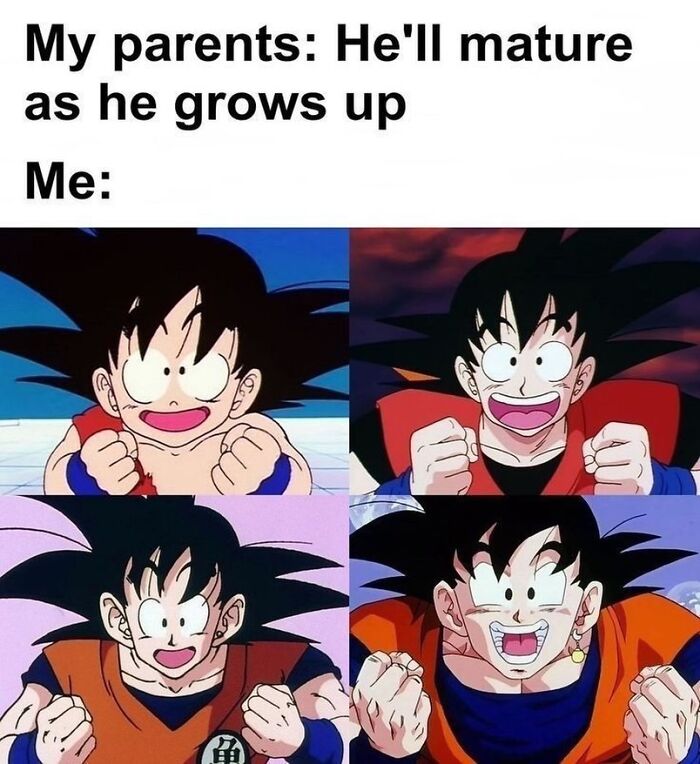 Funny Dragon Ball meme about not maturing with growing up in nostalgic 1990s and 2000s eras