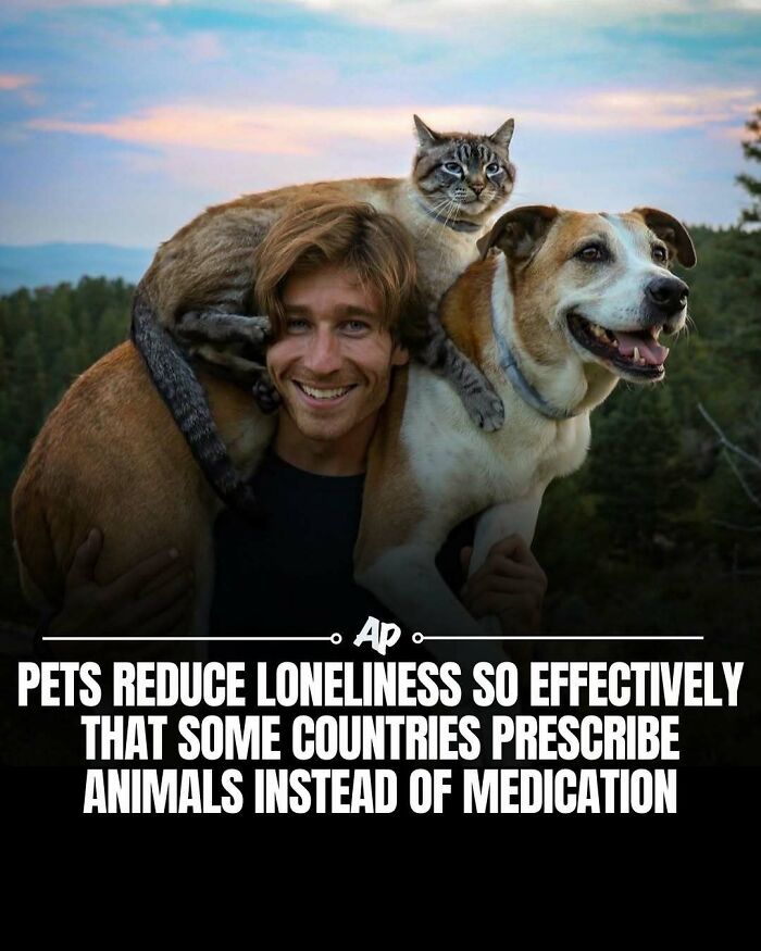 Pets reduce loneliness and are prescribed instead of medication