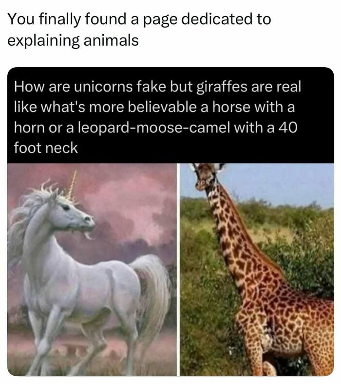 Comparison of unicorn illustration and real giraffe in natural habitat