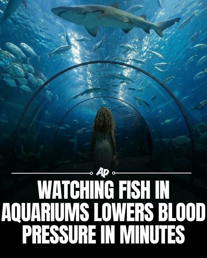 Woman watching sharks and fish in large aquarium tunnel