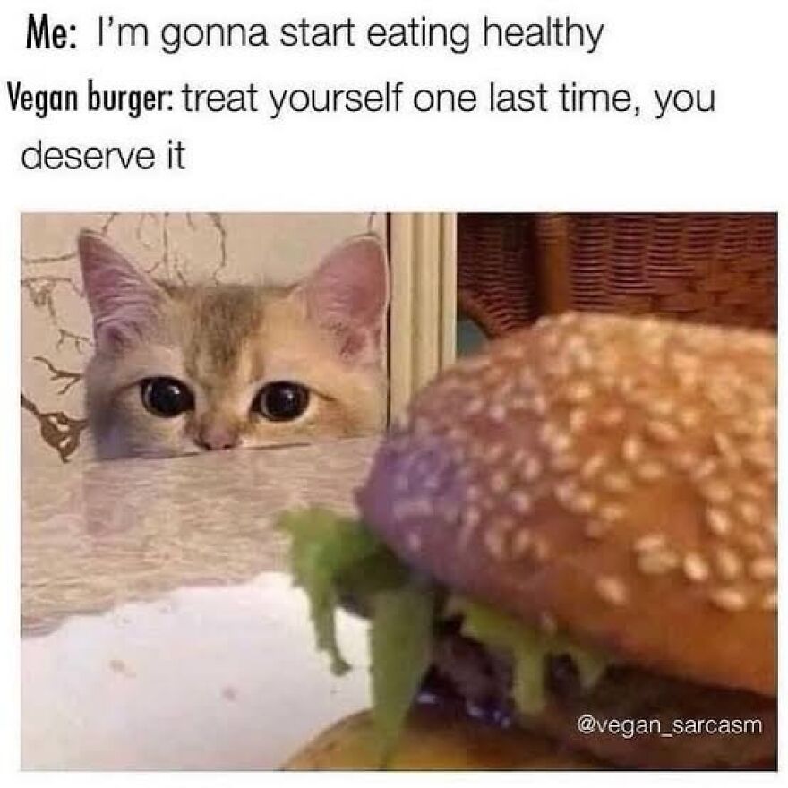 Cat eyeing a vegan burger meme about starting to eat healthy