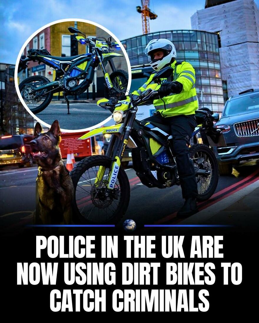 A UK police officer on a dirt bike with a police dog, representing humanity and our planet's efforts against crime.