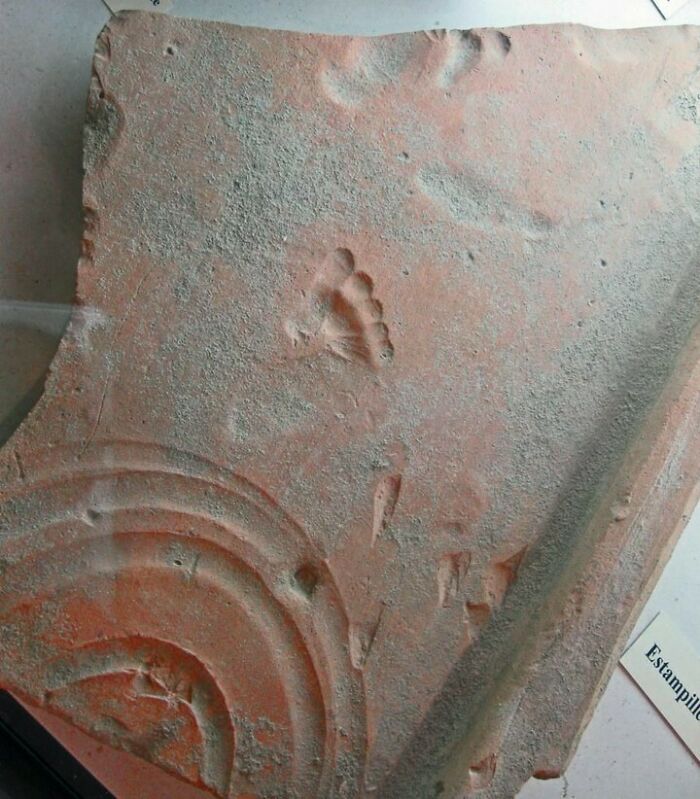 Ancient clay tablet with footprint impression historical treasure