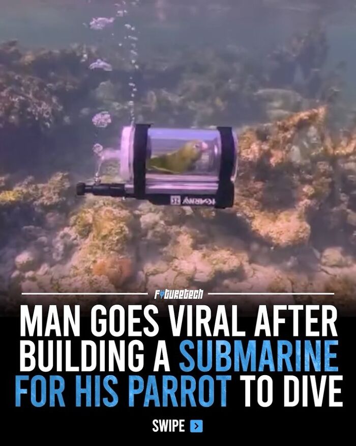 A parrot in a mini submarine underwater, a man's future technology creation for his pet.