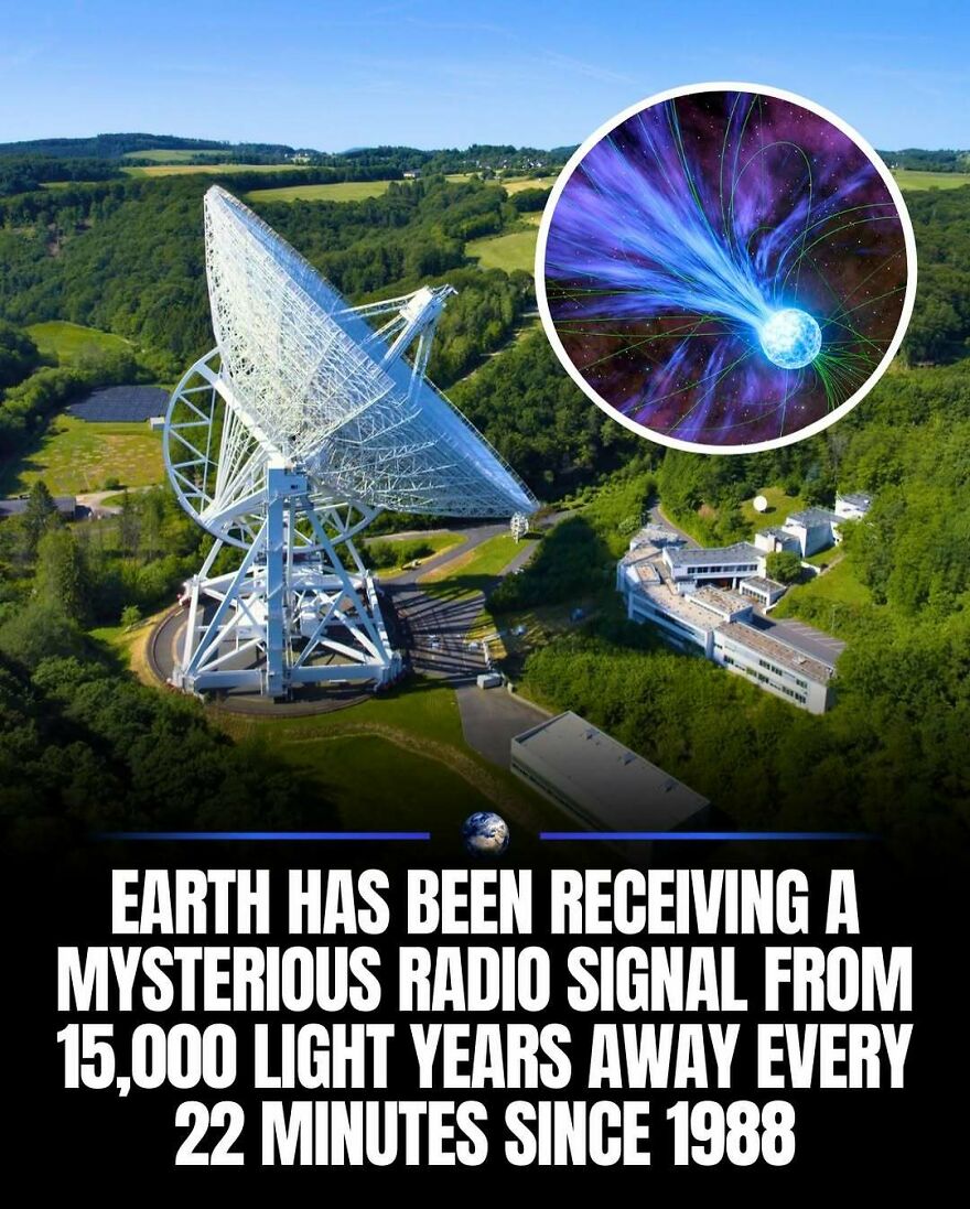 A giant radio telescope receiving a mysterious radio signal from space, symbolizing humanity's exploration of the planet and beyond.