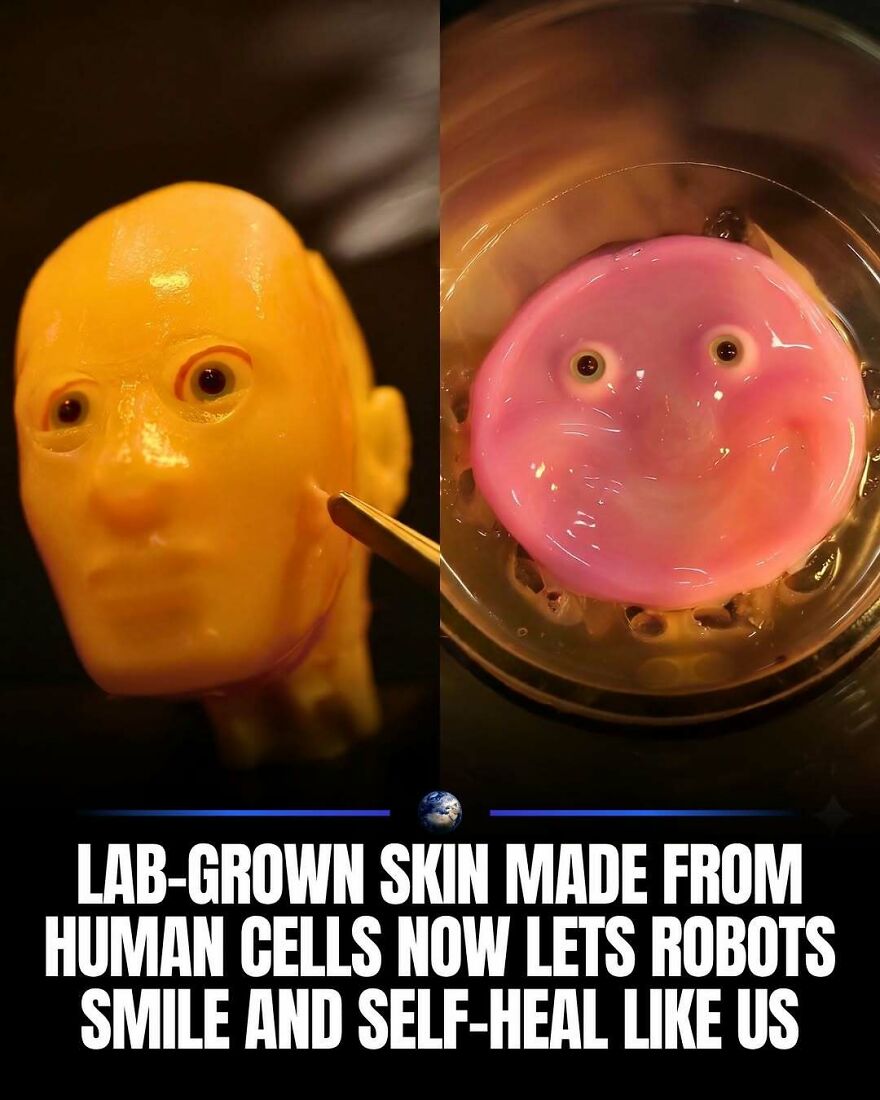 Side-by-side images of lab-grown skin on a human-like head and a pink substance, showing humanity's advancements.