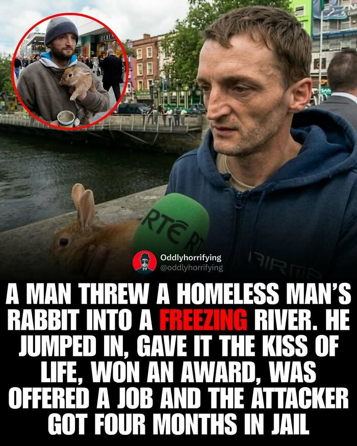 An unsettling story: a man saves a homeless man's rabbit from a freezing river, receives an award and a job.