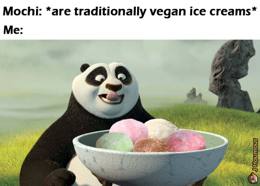 Kung Fu Panda excited about traditional vegan mochi ice creams in a bowl