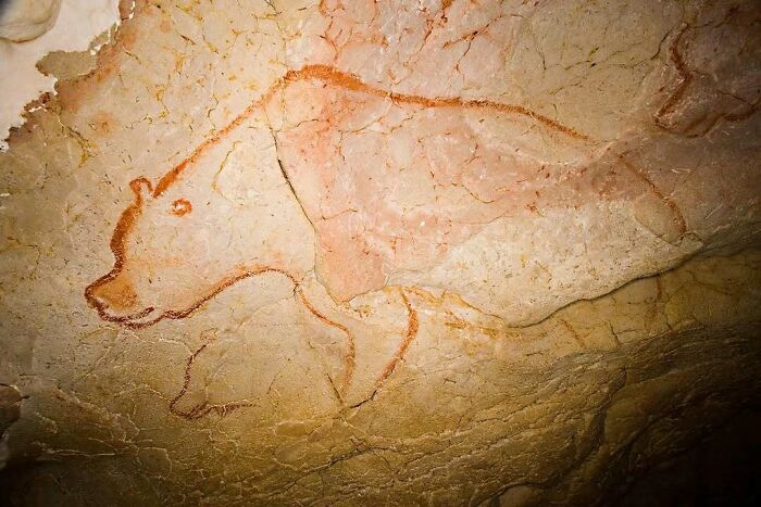 Ancient cave painting depicting a bear on textured rock surface