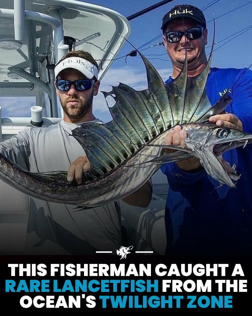 Fisherman holding a rare lancetfish caught from the ocean's twilight zone