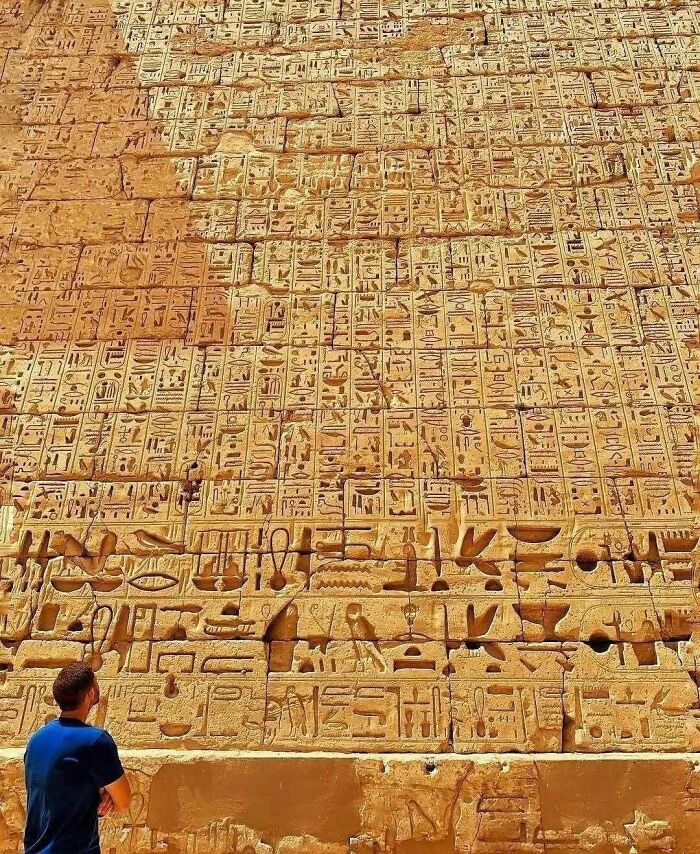 Ancient Egyptian hieroglyphs carved on a stone wall historical treasure