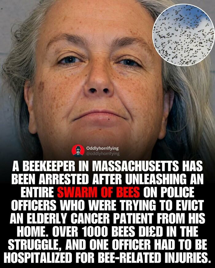 A depressing story about a beekeeper unleashing a swarm of bees on police during an eviction, resulting in bee-related injuries.
