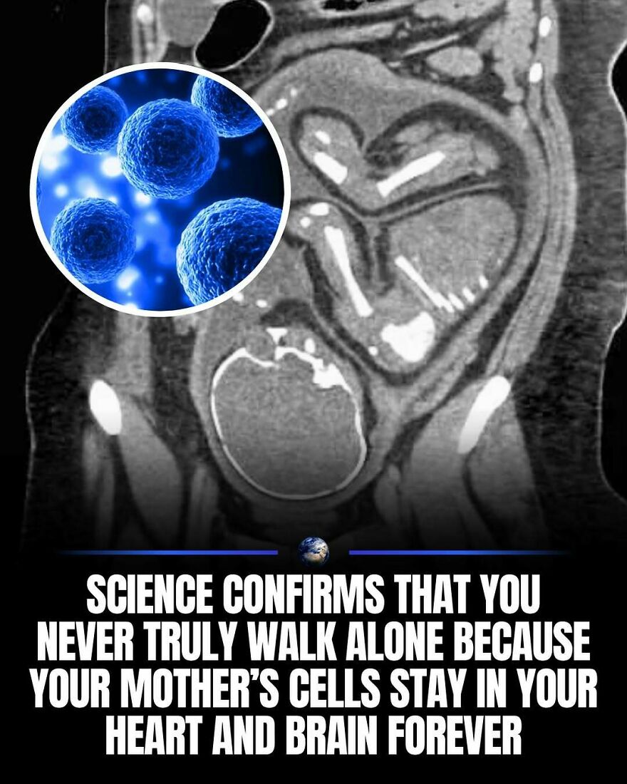 A close-up of a fetal ultrasound next to a microscopic view of cells, revealing new insights about humanity and our planet.