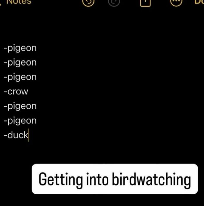 Screenshot list of bird species with caption about getting into birdwatching