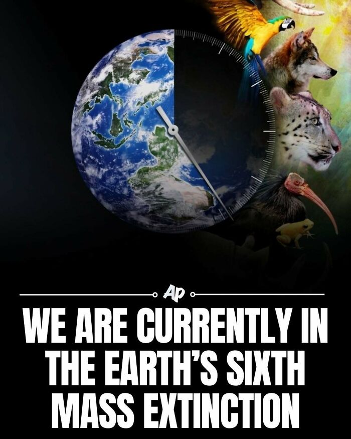 Earth illustration with animals highlighting the sixth mass extinction