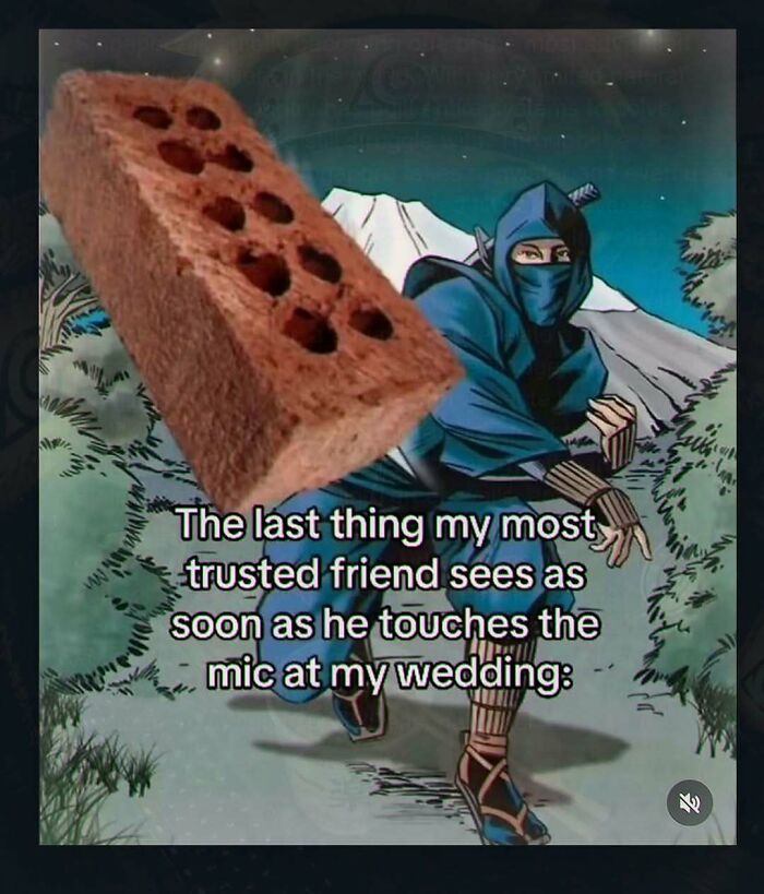 An unhinged pic featuring a ninja throwing a brick, with text about a trusted friend at a wedding, representing chaotic pics.