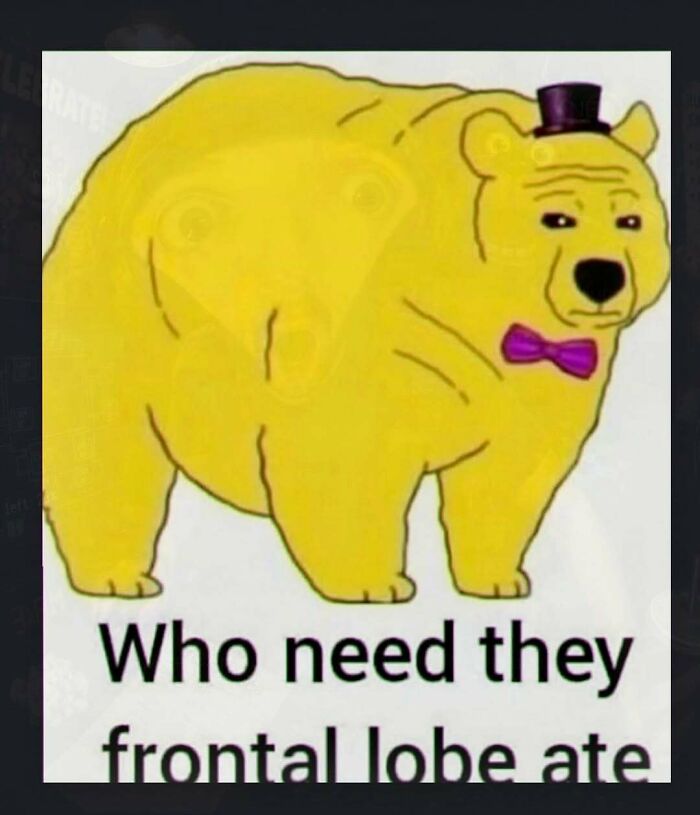 A chaotic and unhinged pic of a yellow bear in a top hat and bow tie, with the text Who need they frontal lobe ate.