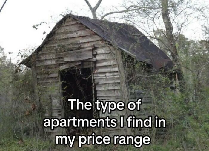 Humorous image of a dilapidated shack representing affordable apartments