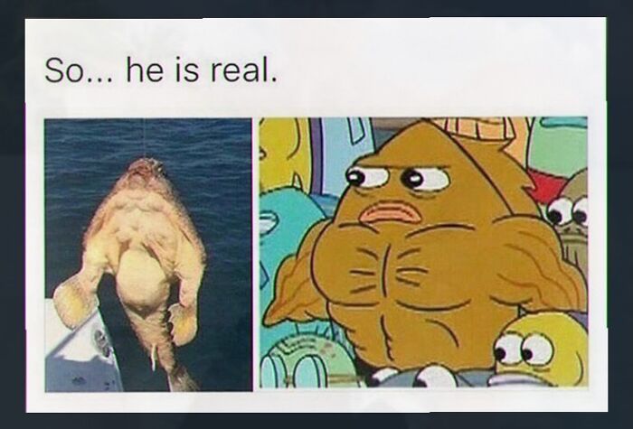 A meme comparing a real-life fish with a buff cartoon fish character, showcasing chaotic and unhinged pics.
