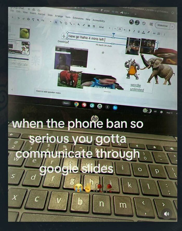 A laptop screen displaying Google Slides used for communication due to a phone ban, showing chaotic and unhinged pics.