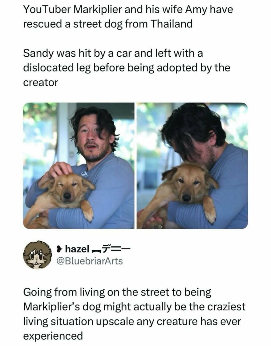 YouTuber Markiplier with his dog Sandy, rescued from Thailand, illustrating a heartwarming and funny pop culture moment.
