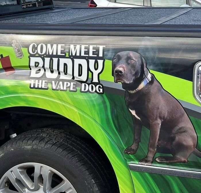 Vehicle with a large decal of a black dog and text about vape dog Buddy cursed images