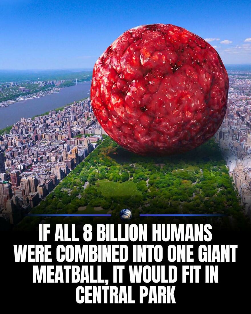 A giant meatball representing all 8 billion humans, placed in Central Park, illustrating humanity and our planet's scale.