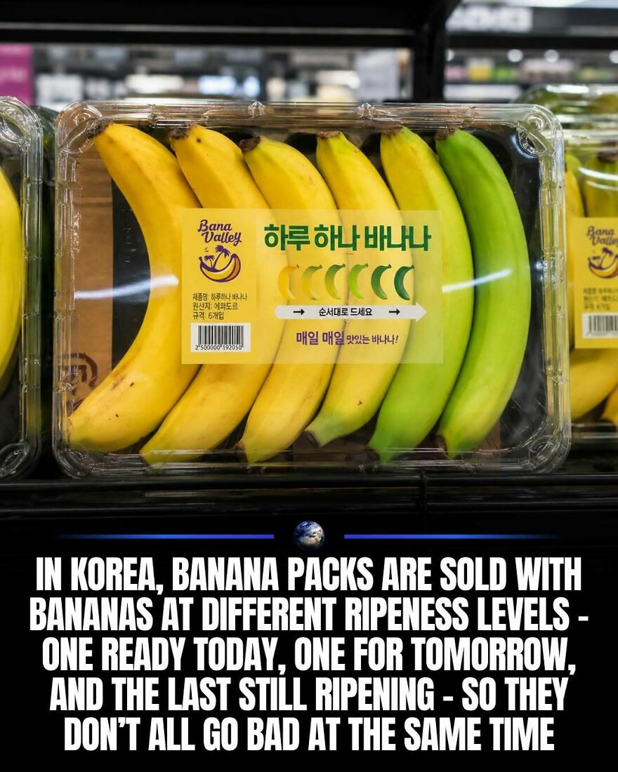 A banana pack in Korea with bananas at different ripeness levels for humanity and our planet.