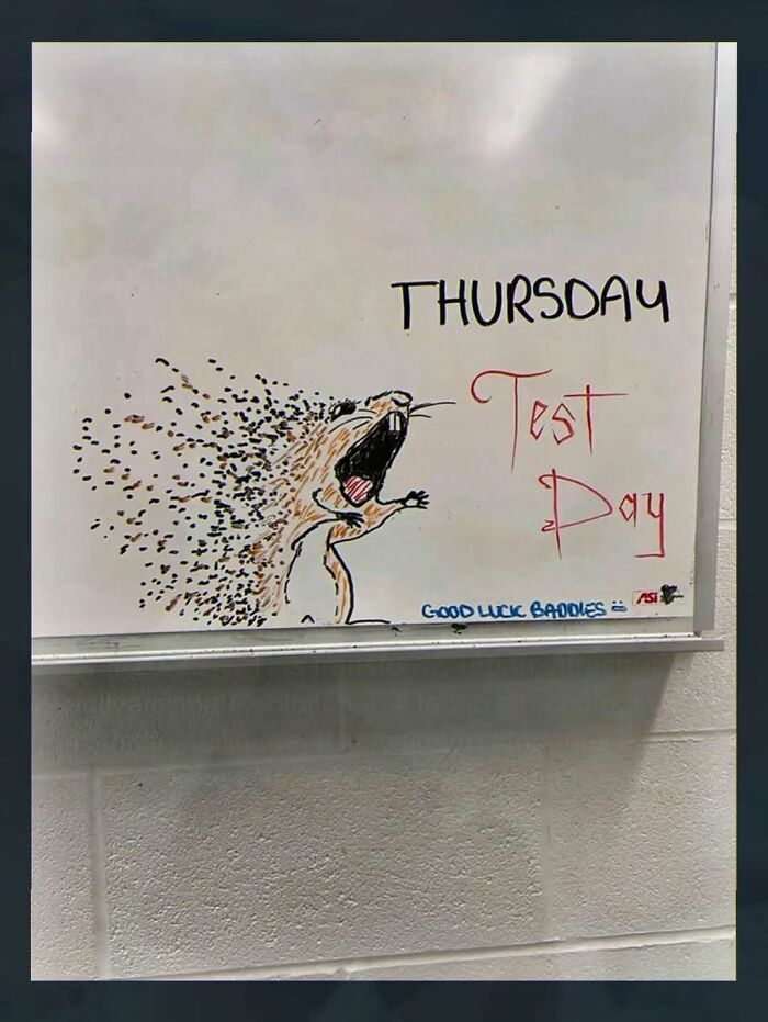 A chaotic and unhinged pic of a whiteboard with a drawing of a screaming animal disintegrating, with the text THURSDAY Test Day.