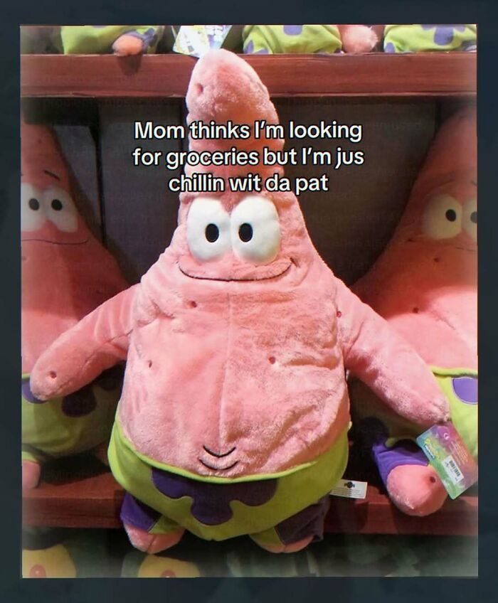 A plush Patrick Star toy from Spongebob Squarepants sitting on a shelf with the text Chaotic and Unhinged Pics.