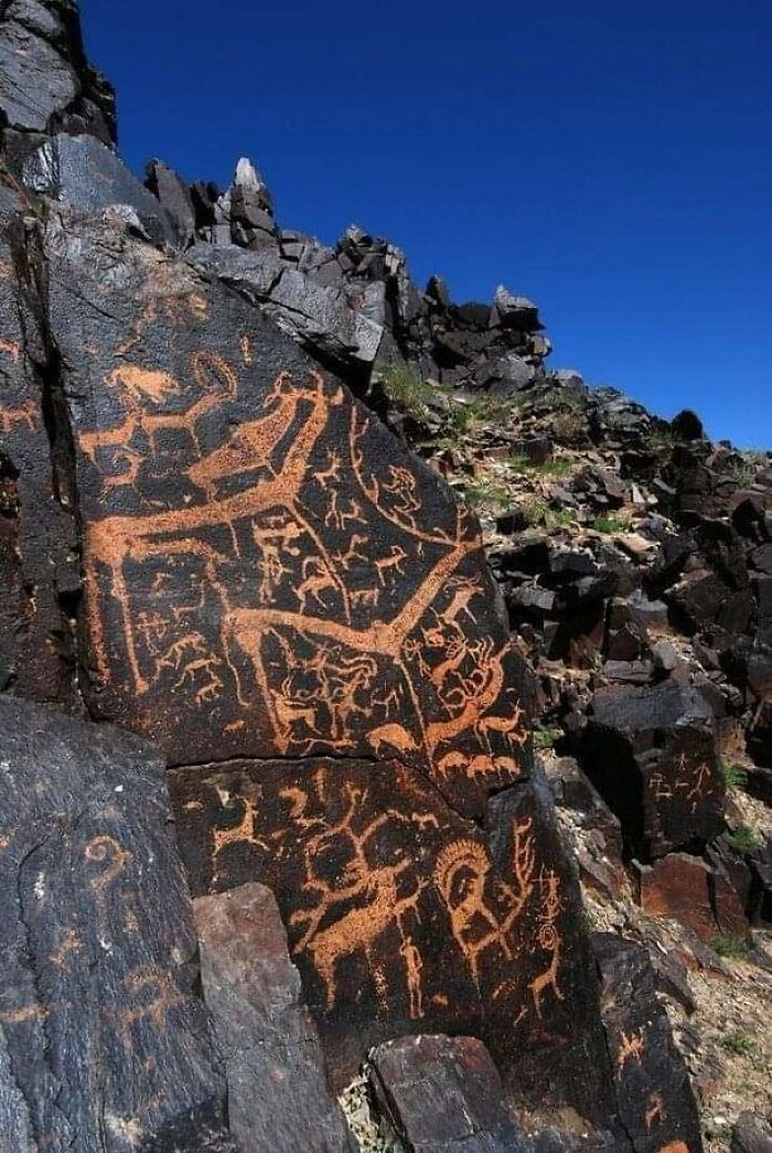 Close-up of rock art petroglyphs depicting animals and humans on a rocky mountain