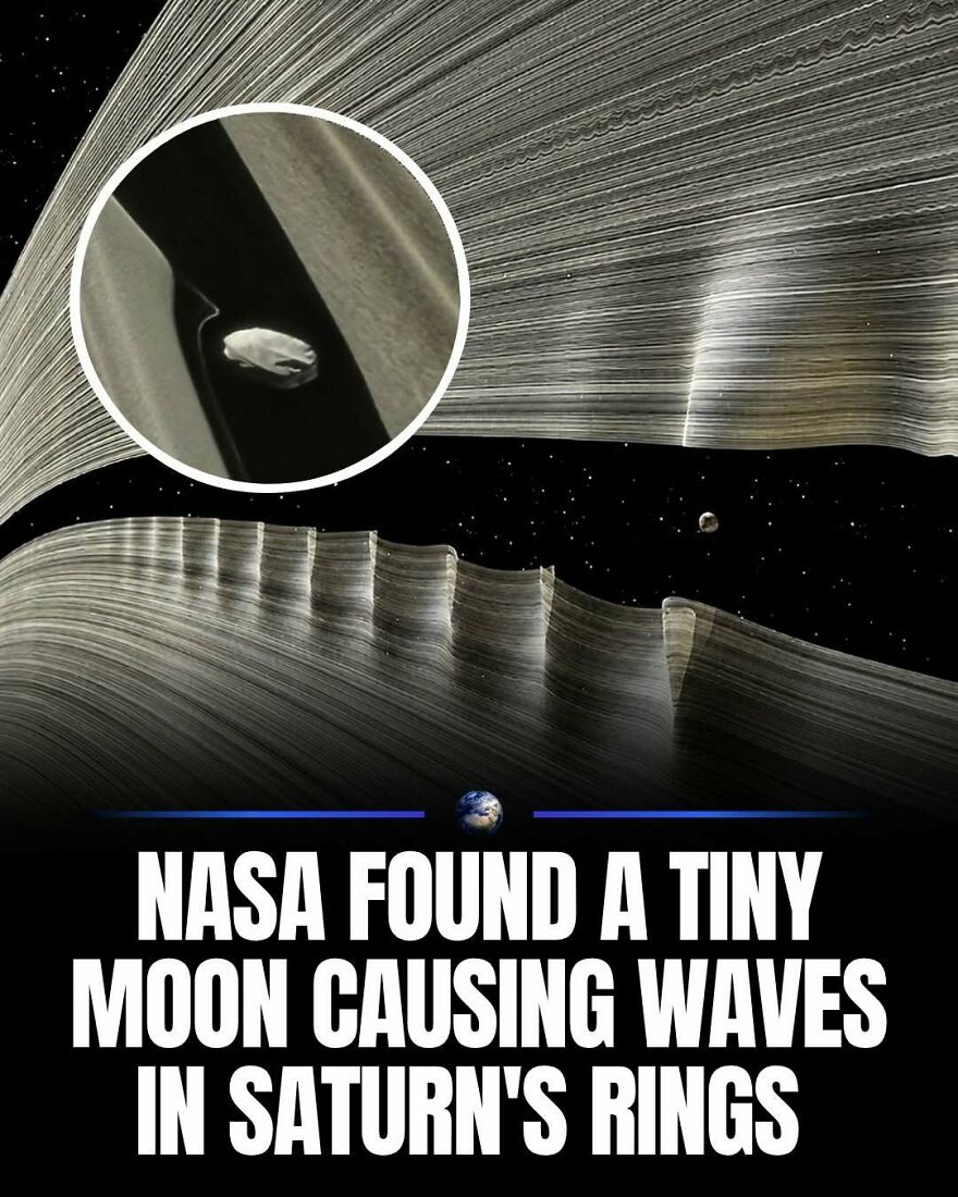 A tiny moon causing waves in Saturn's rings, captured by NASA, illustrating the wonders of humanity and our planet.