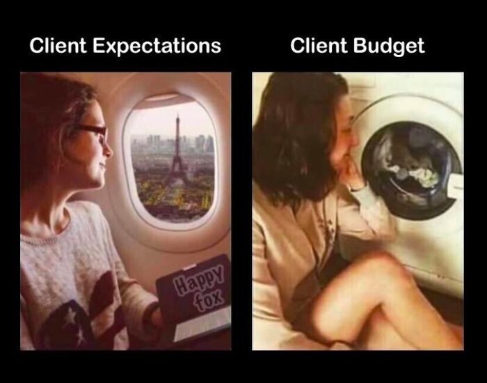 A split image depicting design humor. The left shows a woman on a plane, labeled "Client Expectations." The right shows her looking into a washing machine, labeled "Client Budget."