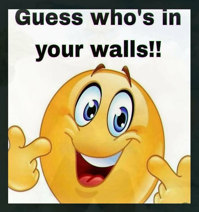 Chaotic and unhinged pic of a yellow emoji smiling and pointing, with text reading Guess who's in your walls!!