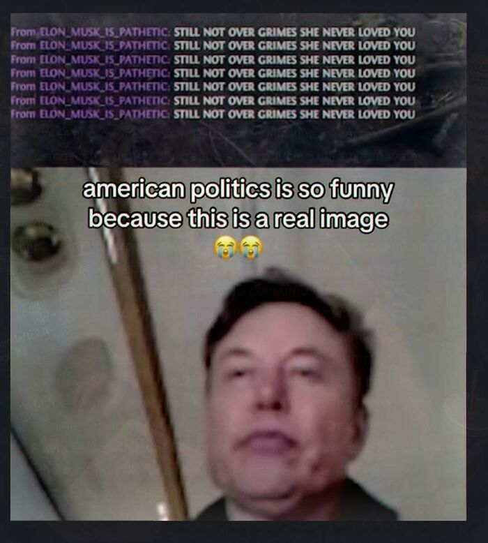 Chaotic and unhinged pic of Elon Musk with text about American politics and Grimes.