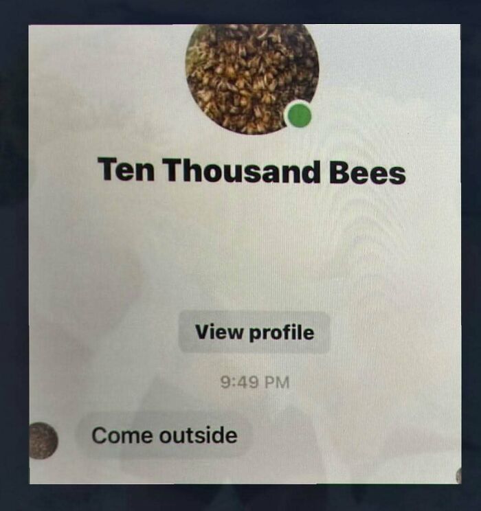 A phone screen showing a chat with 'Ten Thousand Bees' saying 'Come outside'. A chaotic and unhinged pic.