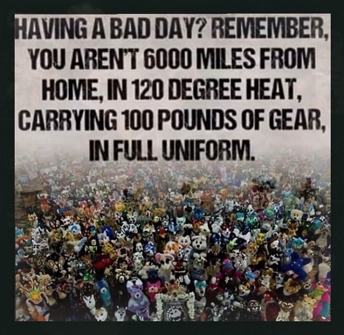 Chaotic and unhinged pic of a crowd of plush toys with motivational text above them.