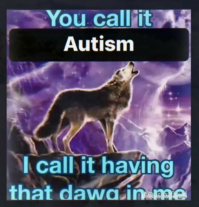 A wolf howling on a mountain with purple sky. Text overlays create a chaotic and unhinged pic about autism.