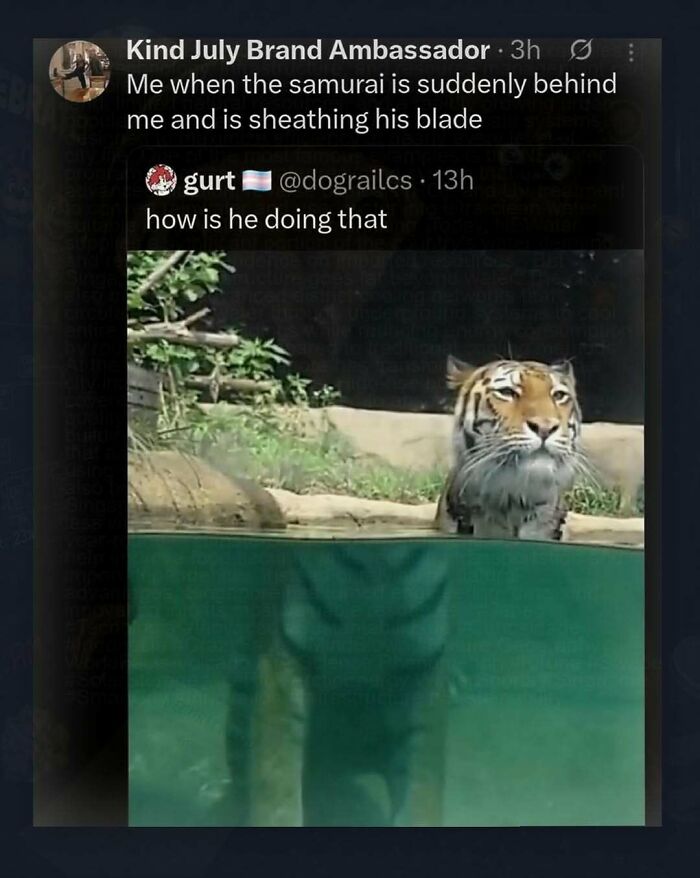 A tiger partially submerged in water, looking directly ahead, with its reflection visible below the surface, as part of chaotic and unhinged pics.