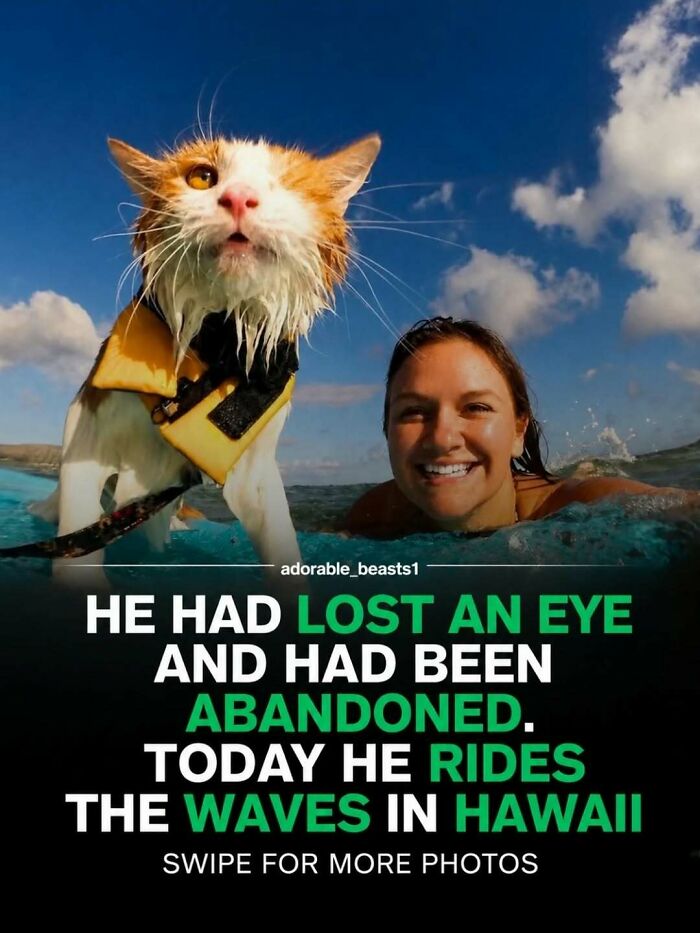 A wet cat in a life vest on a surfboard with a smiling woman, showcasing surprising facts and stories about animals.