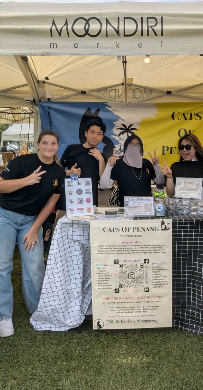 Four people standing behind a stall for an organization that has helped street cats, promoting local action.