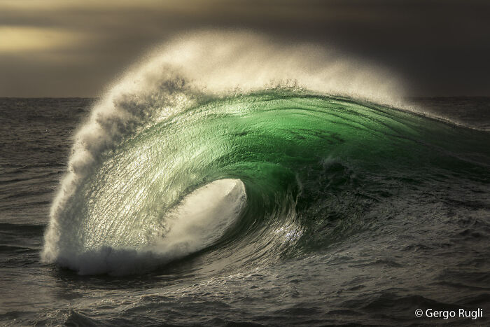 Powerful green wave curling in the ocean, captured for the Au Photo Contest.