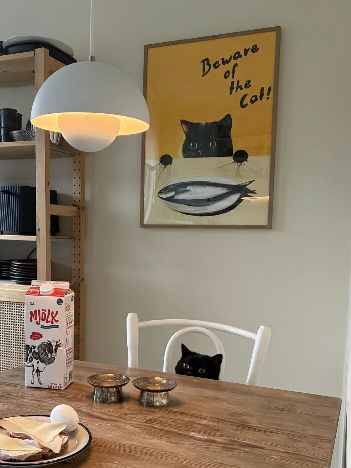 Cozy dining area with cat-themed wall art and simple modern interior design