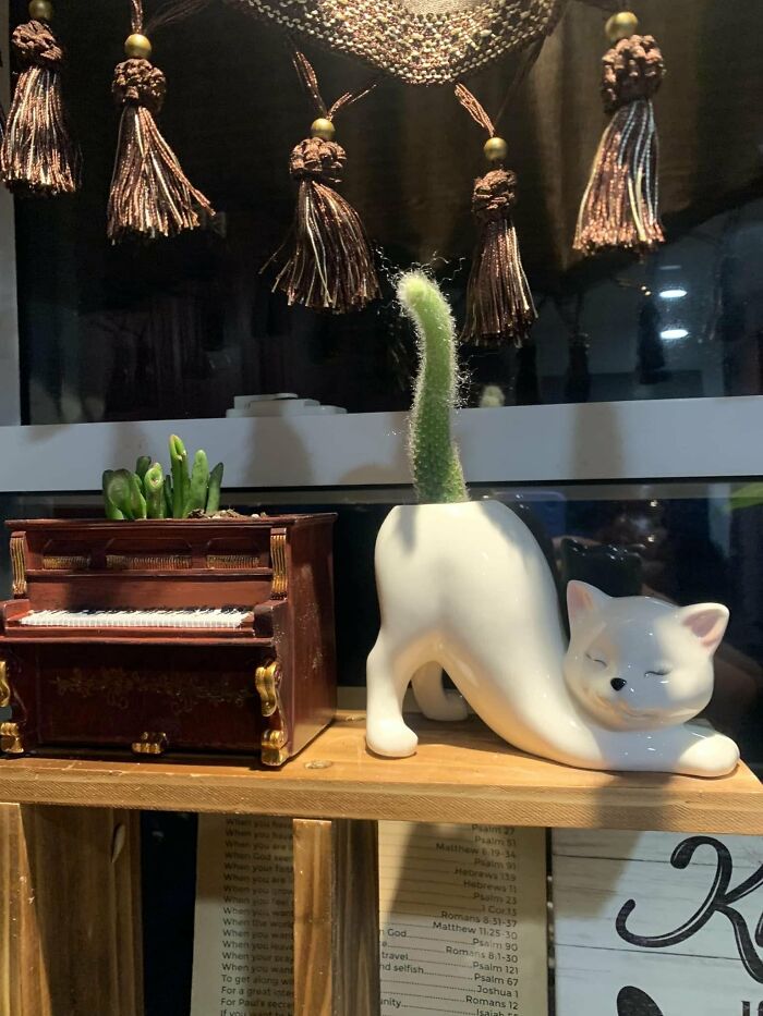 Cute cat-shaped planter and miniature piano for creative interior design ideas