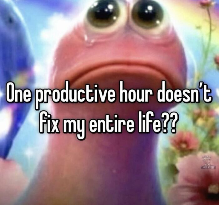 A cringe image of a pink cartoon slug with big eyes looking upset, asking if one productive hour fixes life.