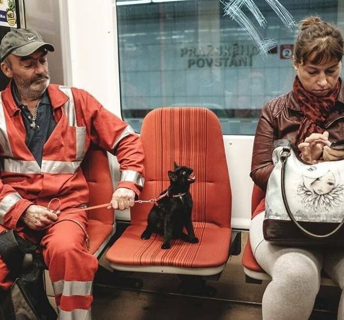 This X Page With Over A Million Followers Shares The Internet’s Most Wholesome Animal Photos, And Here Are 60 Of The Best Ones