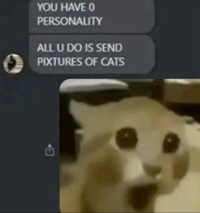 A cringe image of a surprised cat face in a chat overlaying a message about personality and cat pictures.